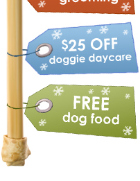 Boondocks Coupons